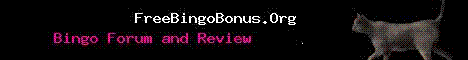 Bingo Bonus