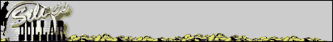 Silver Dollar Casino